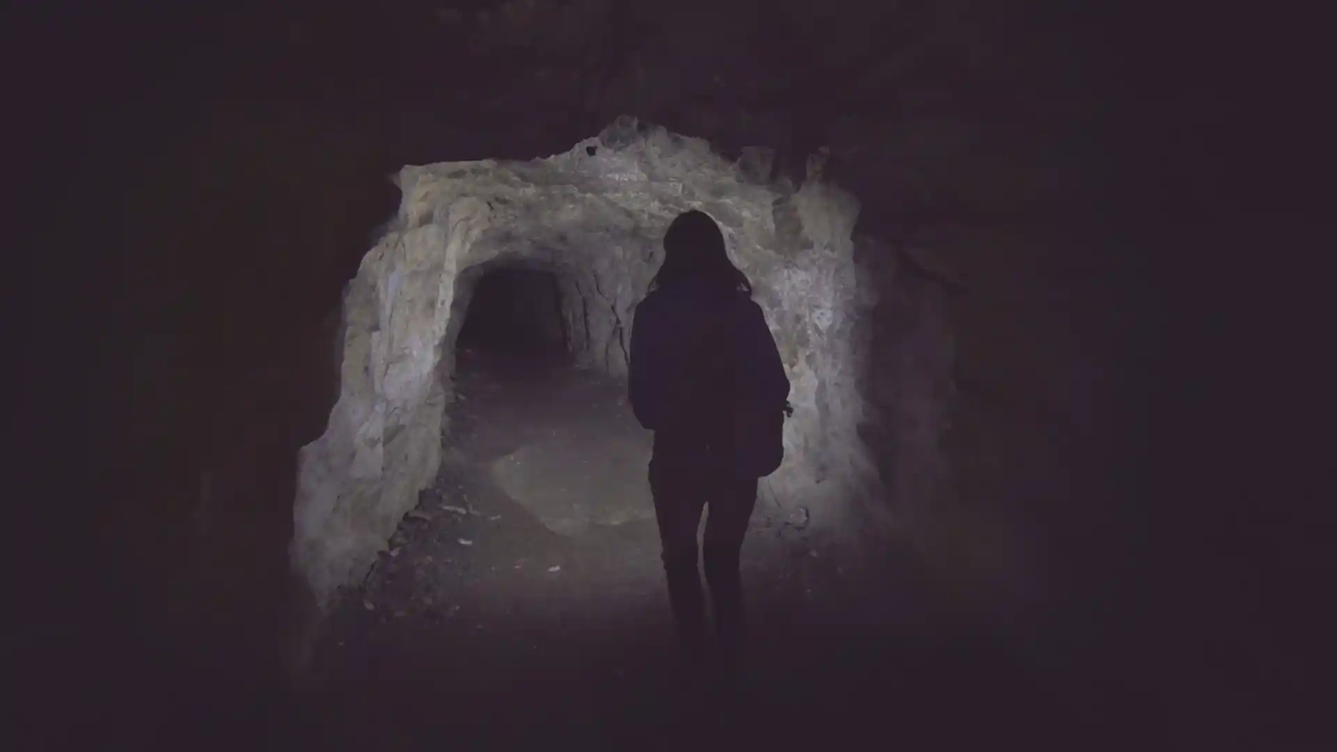 Discovery