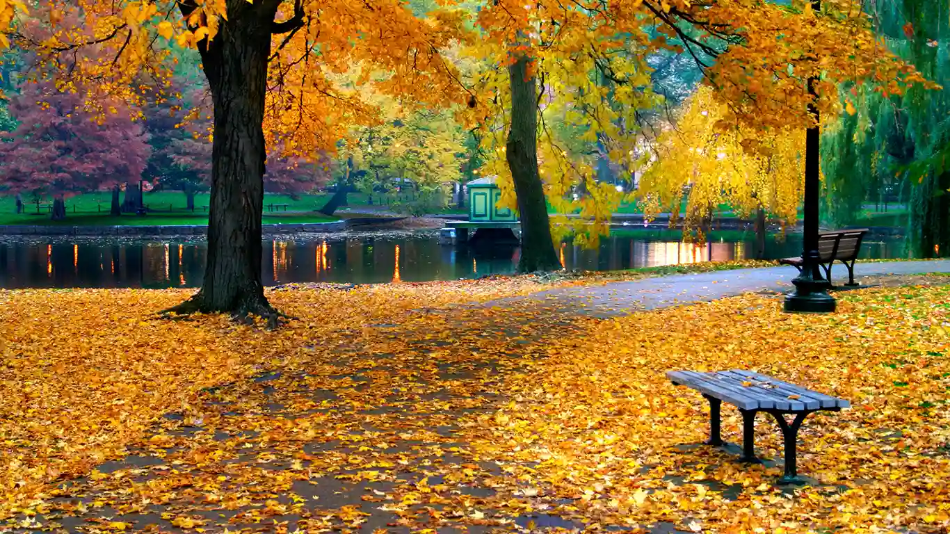 Weberg Law Attorney Consult Bench in Boston Common